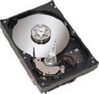 Ibm DS4200 1TB, 7200 RPM SATA (44X2454) Ibm DS4200 1TB, 7200 RPM SATA (44X2454)